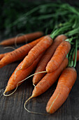 Bunch of carrots on white background