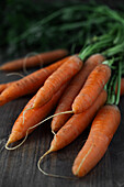 A bunch of carrots