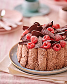 Raspberry and chocolate charlotte, sliced