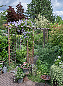 Holzpergola mit Clematis im üppig bepflanzten Sommergarten