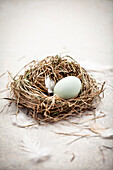 Easter nest made of hay with Easter egg and feather