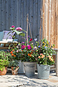 Blumenarrangement in Metalleimern auf sonniger Terrasse