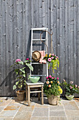 Dekorierte Leiter mit Hortensien und Rosen vor Holzwand