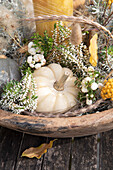 Autumnal arrangement with white pumpkin, berries and grasses in a wooden bowl