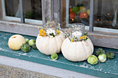 White pumpkins as candle holders with yellow and white flowers on a windowsill