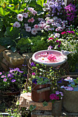 Idyllisches Gartenambiente mit schwimmenden Blüten umgeben von Blumen im Garten