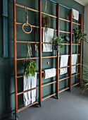 Wall bars with towels and plants in front of a dark green wall