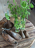 Old wooden shoe lasts and green meadow flowers in glass vases on a round wooden table