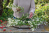 Gesteck aus einem gebundenem Kranz aus Klematisranken (Clematis) in Schale mit Wasser, mit Myrtenaster (Aster ericoides) und Hagebutten