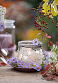 Kerze dekoriert mit Blüten der Myrtenaster (Aster ericoides), Hagebutten und Silberblatt auf Gartentisch