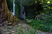 Verwunschener Gartenweg mit kletterndem Efeu und altem Fahrrad