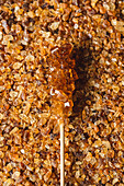 Brown rock candy stick on rock candy