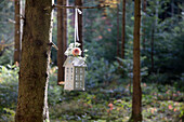 White lantern with bouquet of gypsophila and rose hangs on tree in the forest