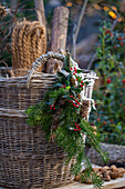 Advent arrangement with fir branch of hemlock, holly (Ilex meserveae) 'Blue Maid' and cones on wicker basket