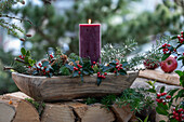 Advent arrangement with branches of hemlock, holly (Ilex meserveae) 'Blue Maid' and candle on wooden pile
