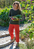 Woman holding basket with harvest chard &#39;Bright Lights&#39;, wax bean &#39;Neckargold&#39; and different kinds of tomatoes