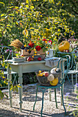 Sitzplatz mit Erntedank Kiste mit Weizen, Trauben, Dahlien, Borretsch, Ringelblume, Salbei, Äpfel und Korb mit Kürbissen  im herbstlichen Garten