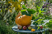 Pumpkin with flowers and apples on table in autumn garden