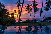 Palm trees are silhouetted against a colorful sky at sunrise by the Caribbean Sea in the Dominican Republic.