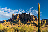 Palo verde-Bäume, Saguaro-Kakteen und Superstition Mountain. Lost Dutchman State Park, Apache Junction, Arizona