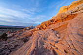 Eroded white pillow rock or brain rock sandstone in the White Pocket Recreation Area, Vermilion Cliffs National Monument, Arizona. Both the red and white are Navajo sandstone but the red has more iron oxide in it.