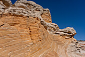 Eroded white pillow rock or brain rock sandstone in the White Pocket Recreation Area, Vermilion Cliffs National Monument, Arizona. Both the red and white are Navajo sandstone but the red has more iron oxide in it.