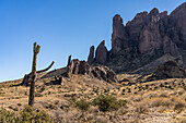 Saguaro-Kaktus und Superstition Mountain vom Lost Dutchman State Park, Apache Junction, Arizona