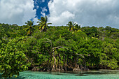 Clear waters of Cano Frio lined by mangroves on the Samana Peninsula, Dominican Republic.