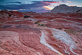Eroded white pillow rock or brain rock sandstone in the White Pocket Recreation Area, Vermilion Cliffs National Monument, Arizona. Both the red and white are Navajo sandstone but the red contains more iron oxide.
