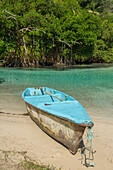 A boat on the shore of the clear waters of Cano Frio lined by mangroves on the Samana Peninsula, Dominican Republic.