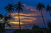 Palmen heben sich bei Sonnenaufgang am Karibischen Meer in der Dominikanischen Republik von einem bunten Himmel ab