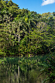 Small lake in the rain forest of the Dominican Republic.