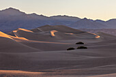 Sunrise on the Mesquite Flat sand dunes in Death Valley National Park in the Mojave Desert, California. Black Mountains behind.