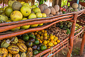 Obst und Gemüse zum Verkauf an einem Straßenstand in Samana, Dominikanische Republik, einschließlich Kakaobohnenschoten unten links