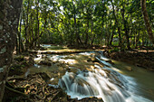Kleine Stromschnellen am Limon-Fluss in der Nähe der großen Wasserfälle bei Samana, Dominikanische Republik