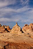 Eroded Navajo sandstone formations in South Coyote Buttes, Vermilion Cliffs National Monument, Arizona.