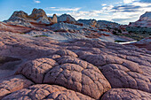 White pillow rock or brain rock sandstone in the White Pocket Recreation Area, Vermilion Cliffs National Monument, Arizona. A form of Navajo sandstone.