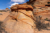 Eroded Navajo sandstone rock formations near South Coyote Buttes, Vermilion Cliffs National Monument, Arizona.