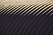 An abstract of light and shadow and repeating forms on an industrial storage building in Texas.