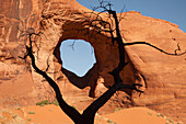A dead snag frames the Ear of the Wind Arch in the Monument Navajo Valley Tribal Park, Arizona.