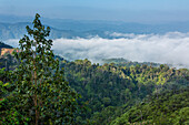 Landschaftsblick auf die Berge und den Wald vom Alto de la Virgende la Altagracia bei Constanza in der Dominikanischen Republik