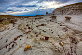 Mini-Hoodoos und bunte Späne aus versteinertem Holz in den Badlands des San Juan Basin in New Mexico