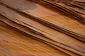 Sehr dünne, zerbrechliche Sandsteinrippen in Navajo-Sandsteinformationen. South Coyote Buttes, Vermilion Cliffs National Monument, Arizona. Geologisch gesehen werden diese Rippen als Verdichtungsbänder bezeichnet.