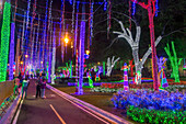 Millionen von Weihnachtslichtern schmücken den Ibero-Amerikanischen Park in Santo Domingo, Dominikanische Republik