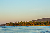 Coconut palm trees line the shore at Bahia de Las Galeras on the Samana Peninsula, Dominican Republic.