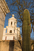 Ein Saguaro-Kaktus mit einer Vogelnisthöhle und der westliche Glockenturm der Mission San Xavier del Bac, Tucson Arizona