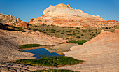 Der Sandsteinmonolith spiegelt sich in einem Pool in der White Pocket Recreation Area, Vermilion Cliffs National Monument, Arizona
