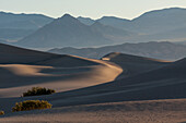 Sunrise on the Mesquite Flat sand dunes in Death Valley National Park in the Mojave Desert, California.