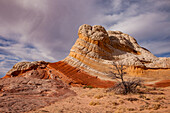 Lollipop Rock, a sandstone formation in the White Pocket Recreation Area, Vermilion Cliffs National Monument, Arizona.