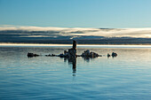 Tufa formations in Mono Lake in California at sunrise with fog in the background.